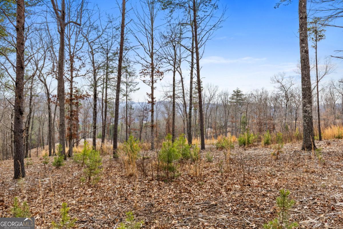 Lot 162 Ridges Of Blue Ridge Morganton, GA 30560 - Photo 10 of 16 a backyard of a house with lots of green space