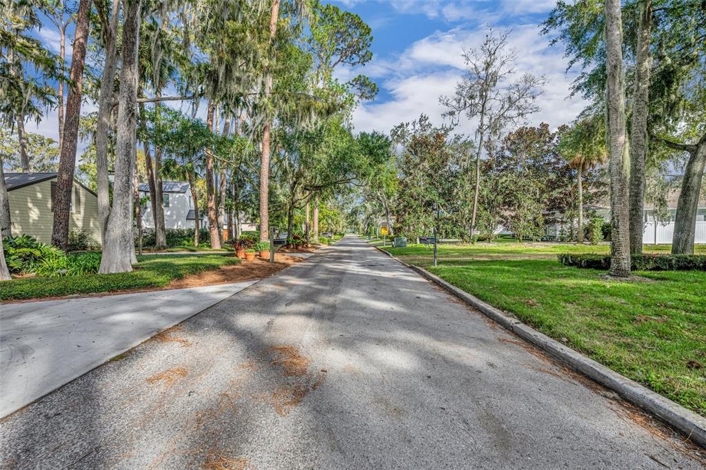 620 Pinetree Road Winter Park, FL 32789 - Photo 8 of 11