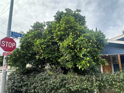 $499,950 | 2703 Lincoln Park Avenue, Los Angeles, CA 90031