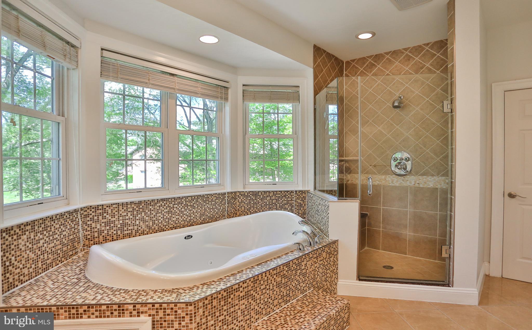 7215 Tanager Street Springfield, VA 22150 - Photo 21 of 43 Master Bath with Jetted Tub