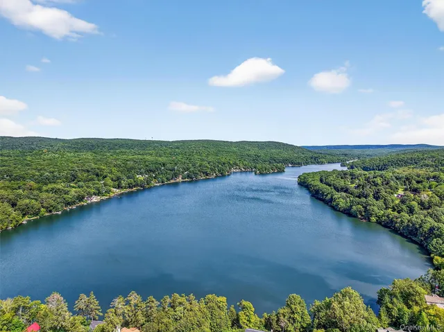 a view of a lake with a city