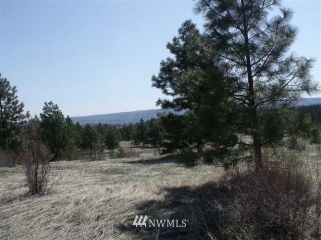 -nna Sawmill Road Chelan, WA 98816 - Photo 1 of 15 Gallery Image 1