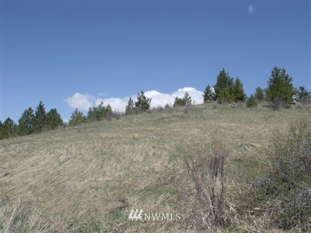 -nna Sawmill Road Chelan, WA 98816 - Photo 2 of 15 Gallery Image 2