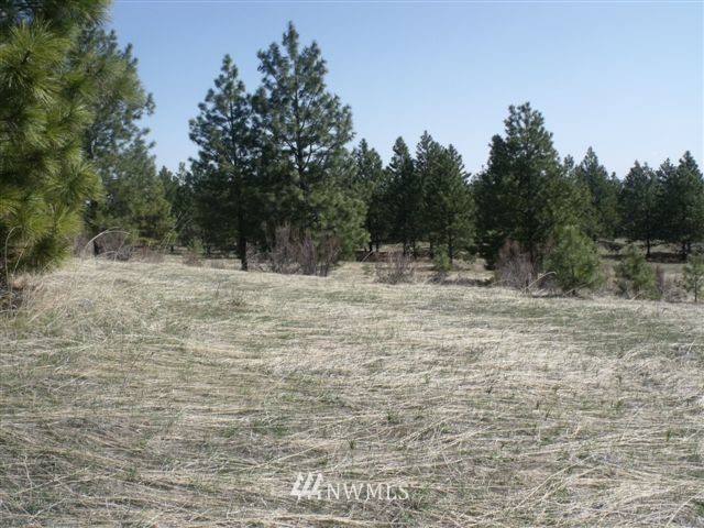 -nna Sawmill Road Chelan, WA 98816 - Photo 11 of 15 Gallery Image 11