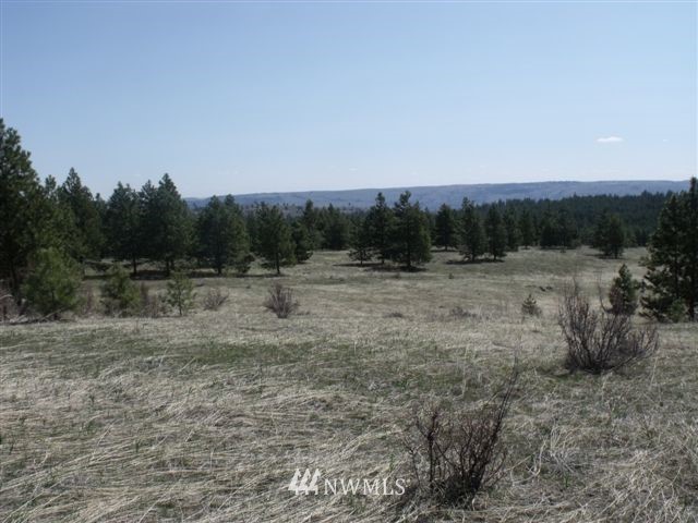 -nna Sawmill Road Chelan, WA 98816 - Photo 12 of 15 Gallery Image 12