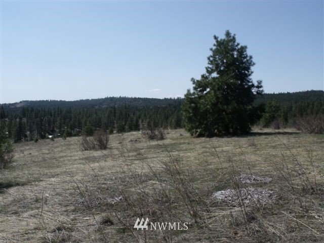 -nna Sawmill Road Chelan, WA 98816 - Photo 13 of 15 Gallery Image 13