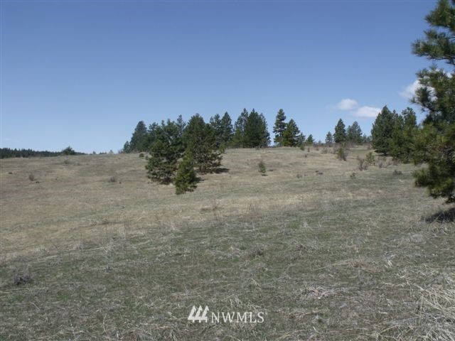-nna Sawmill Road Chelan, WA 98816 - Photo 14 of 15 Gallery Image 14