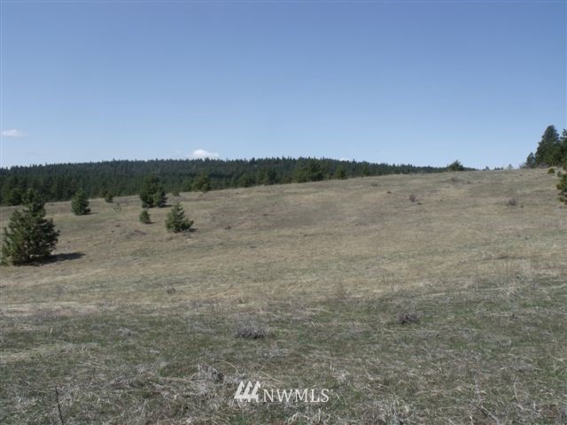 -nna Sawmill Road Chelan, WA 98816 - Photo 15 of 15 Gallery Image 15