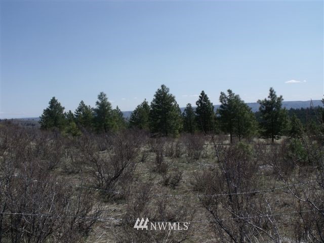 -nna Sawmill Road Chelan, WA 98816 - Photo 3 of 15 Gallery Image 3