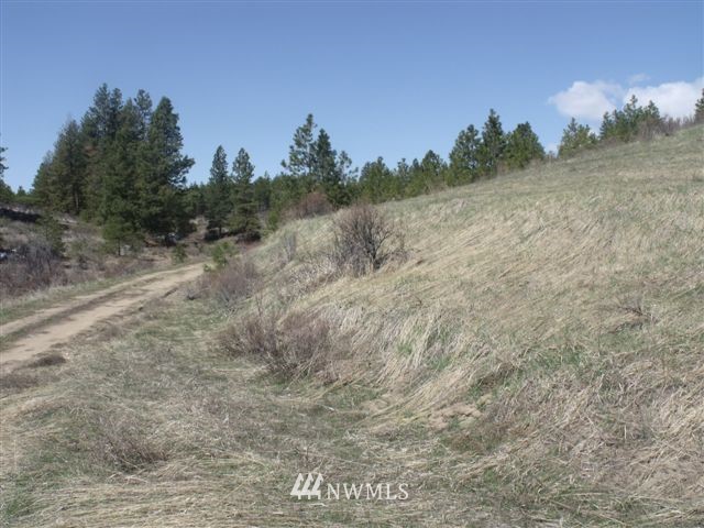 -nna Sawmill Road Chelan, WA 98816 - Photo 4 of 15 Gallery Image 4
