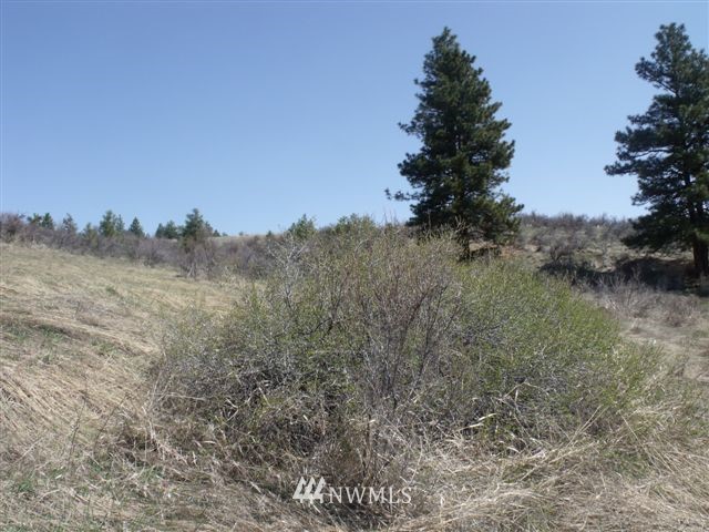 -nna Sawmill Road Chelan, WA 98816 - Photo 6 of 15 Gallery Image 6