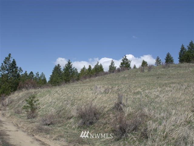 -nna Sawmill Road Chelan, WA 98816 - Photo 7 of 15 Gallery Image 7
