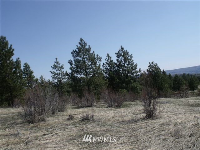 -nna Sawmill Road Chelan, WA 98816 - Photo 8 of 15 Gallery Image 8