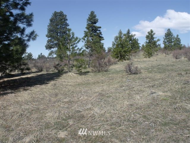 -nna Sawmill Road Chelan, WA 98816 - Photo 10 of 15 Gallery Image 10