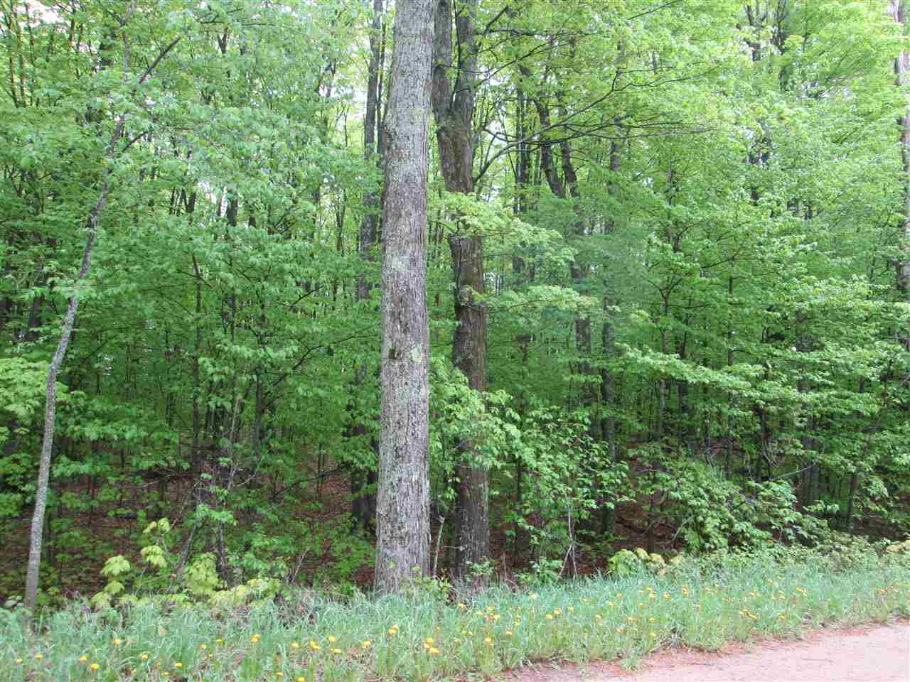 Shively Road Kalkaska, MI 49646 - Photo 2 of 12 1800502-1.JPG