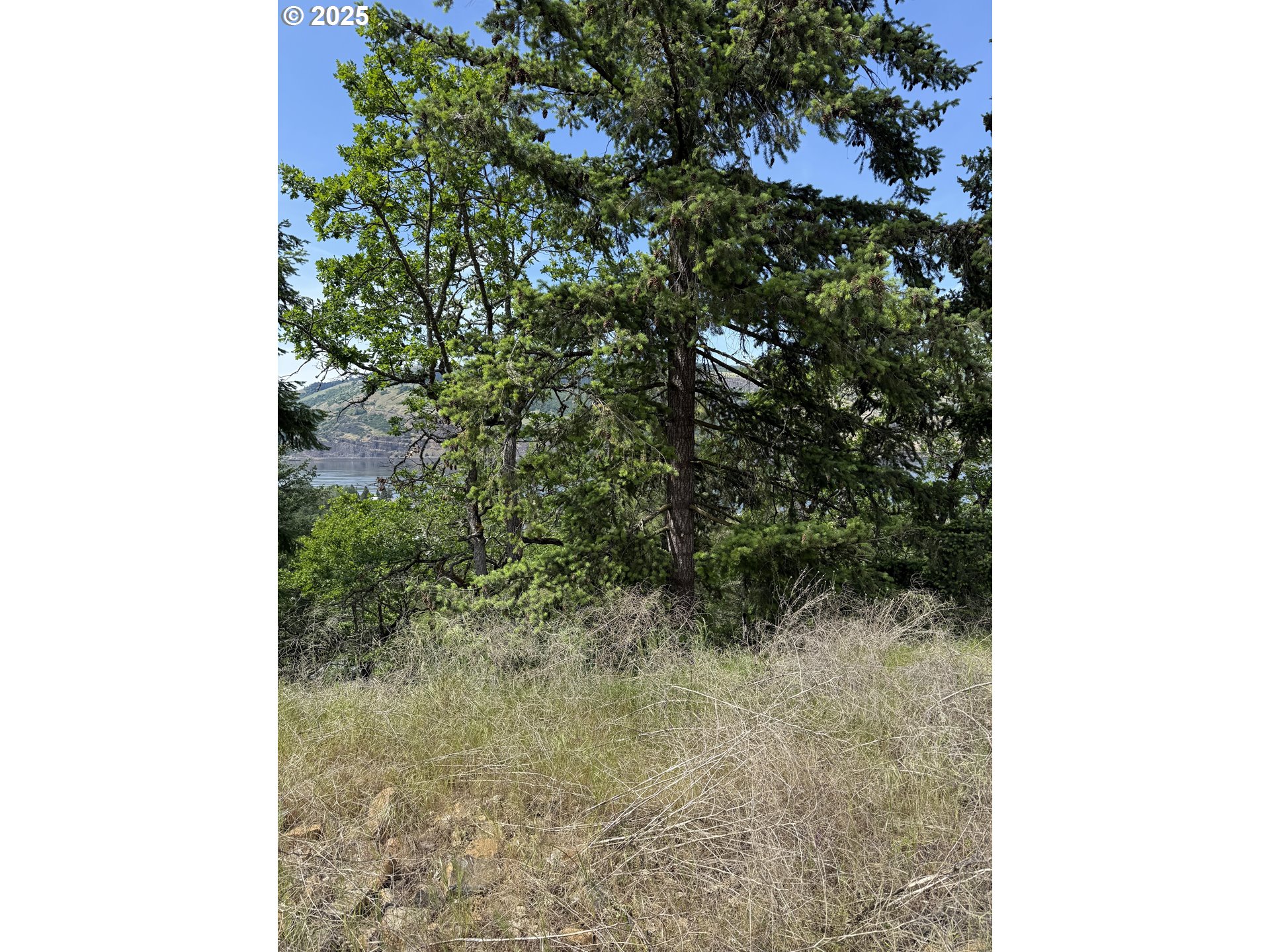 Coyote Court, Unit 43 Mosier, OR 97040 - Photo 5 of 10