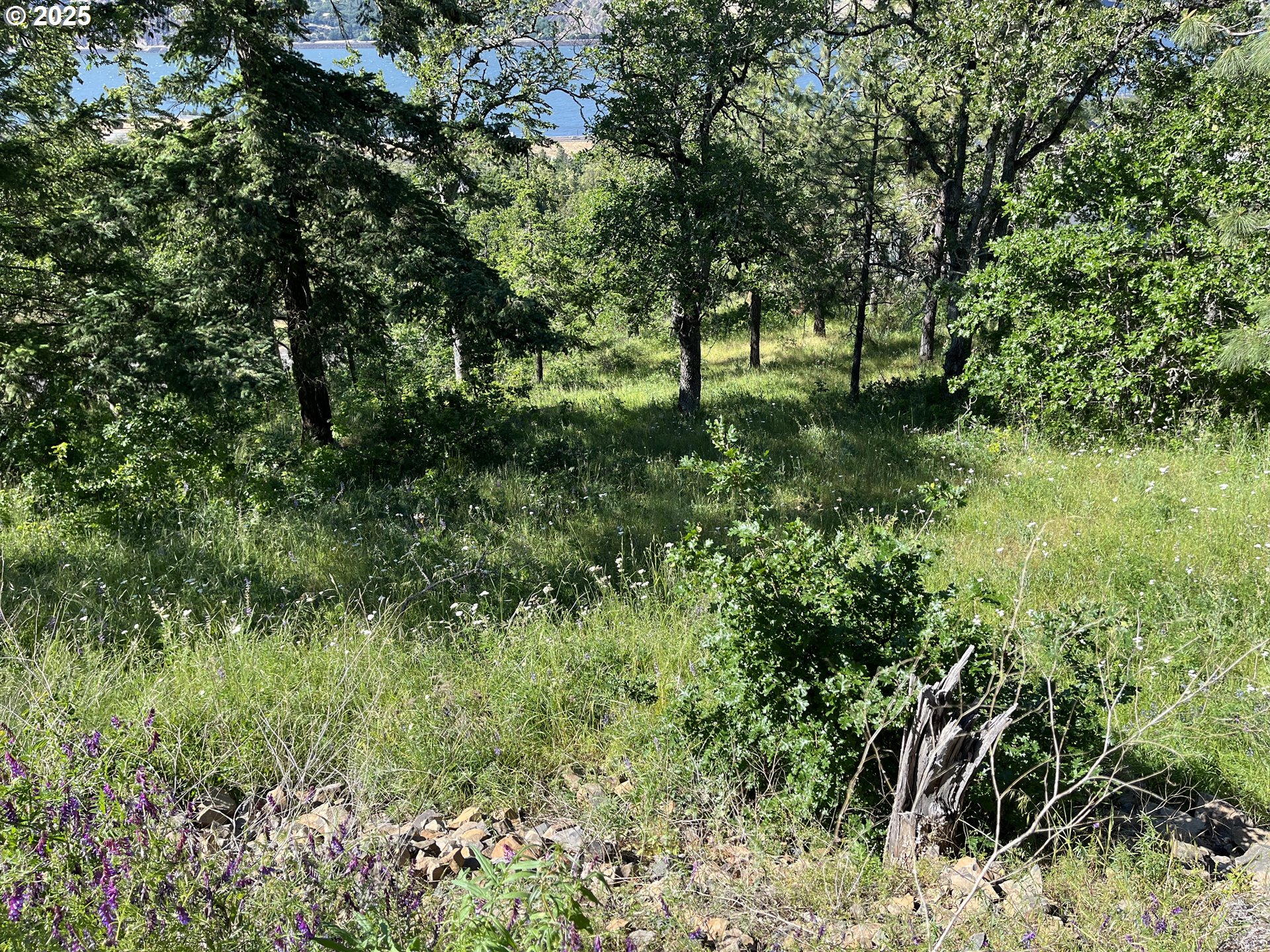 Coyote Court, Unit 43 Mosier, OR 97040 - Photo 6 of 10