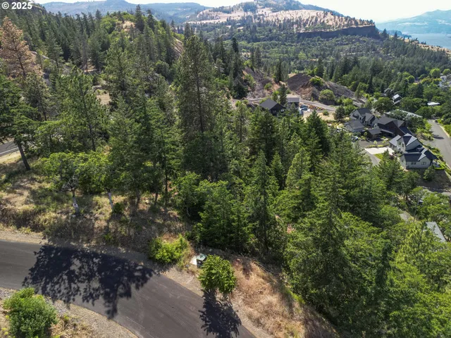 an aerial view of residential house with outdoor space