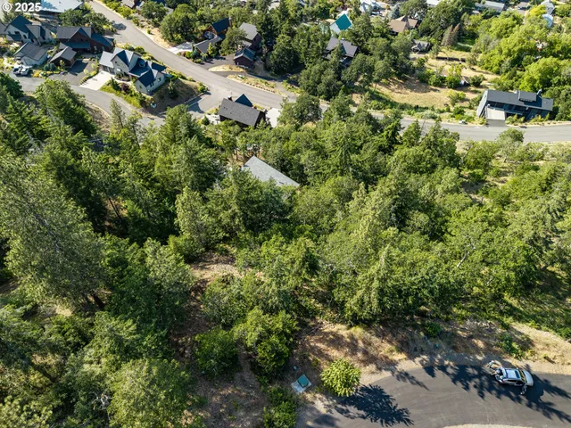 an aerial view of residential houses with outdoor space and trees