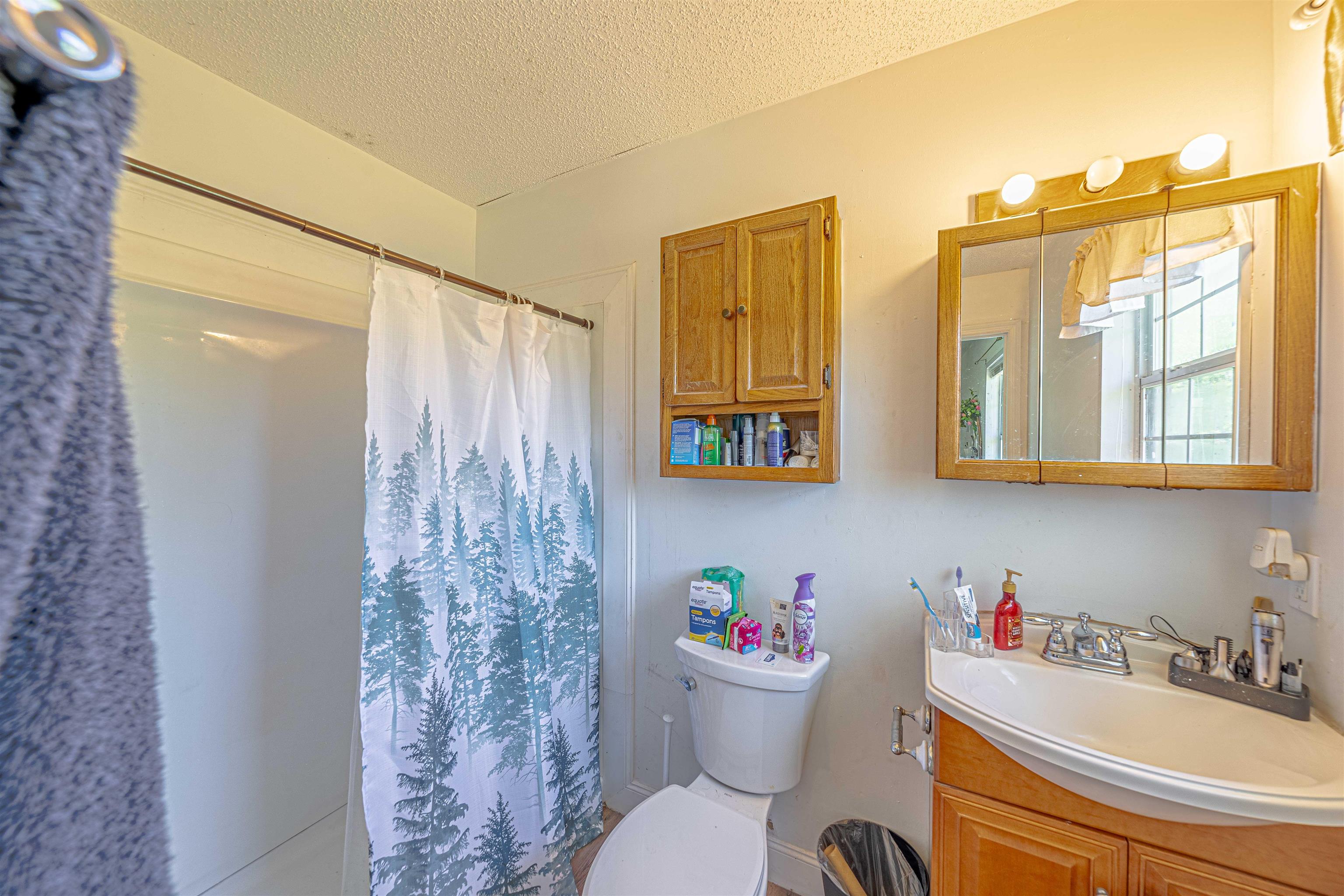 14240 Charlie McDowell Road Bristol, FL 32321 - Photo 1 of 41 Gallery Image 1
