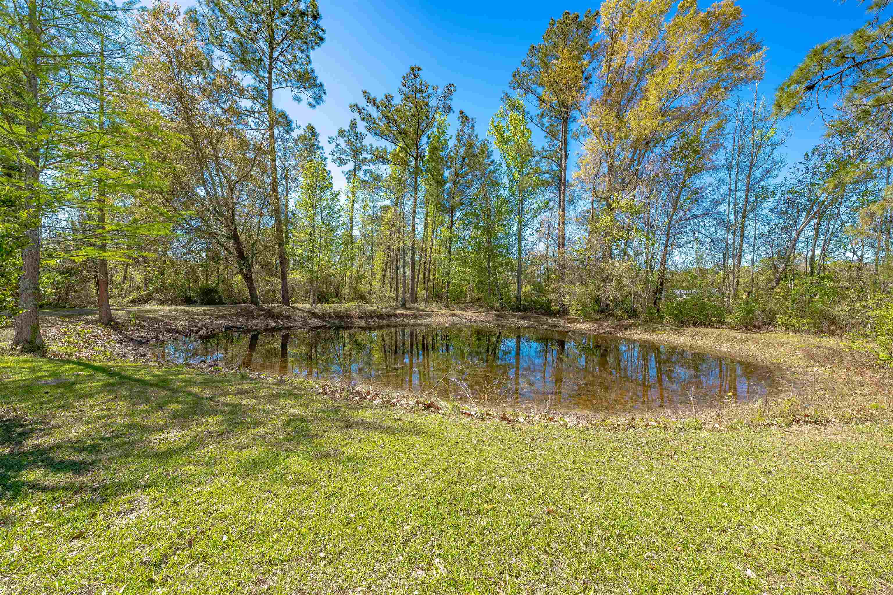 14240 Charlie McDowell Road Bristol, FL 32321 - Photo 21 of 41 Gallery Image 21
