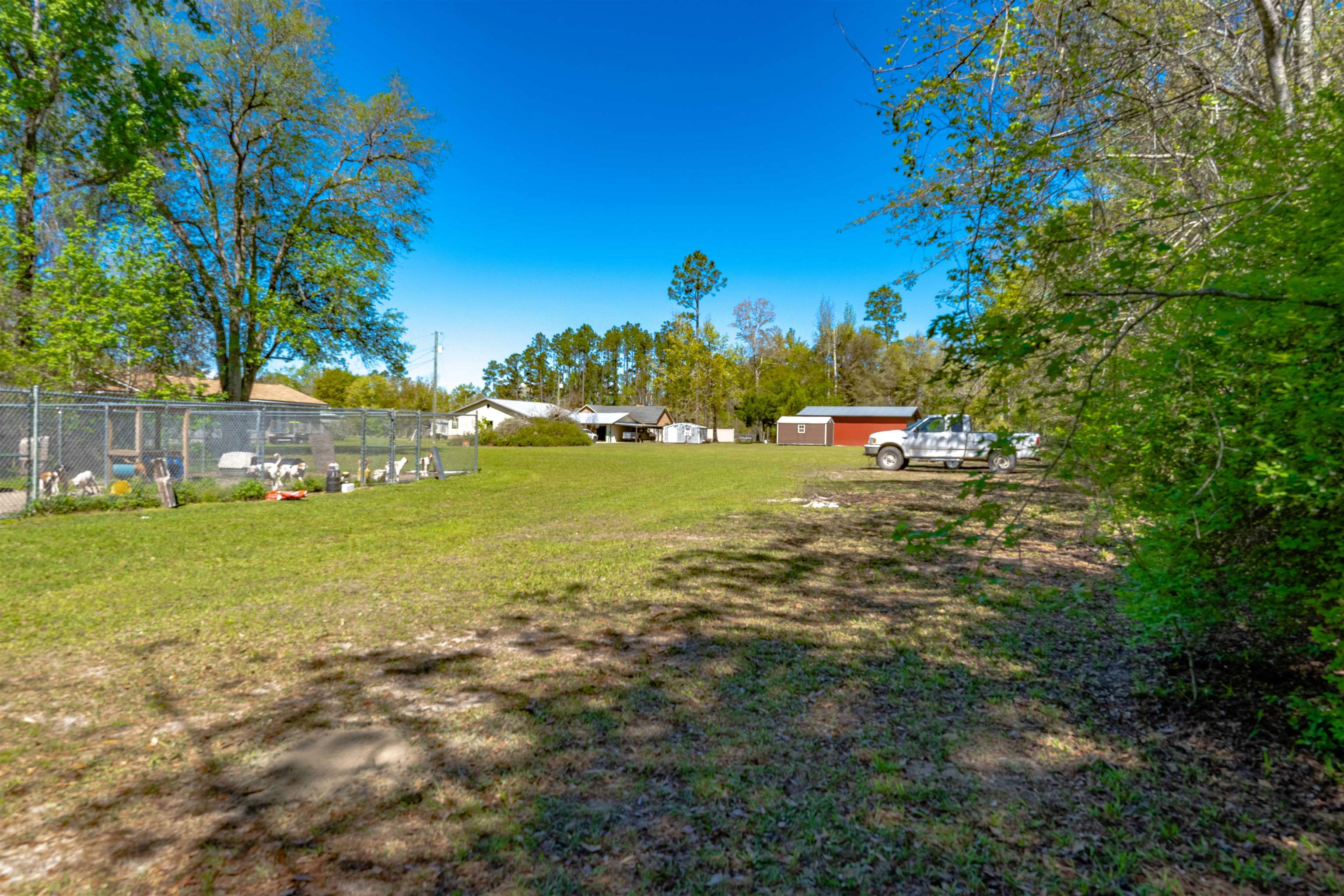 14240 Charlie McDowell Road Bristol, FL 32321 - Photo 24 of 41 Gallery Image 24
