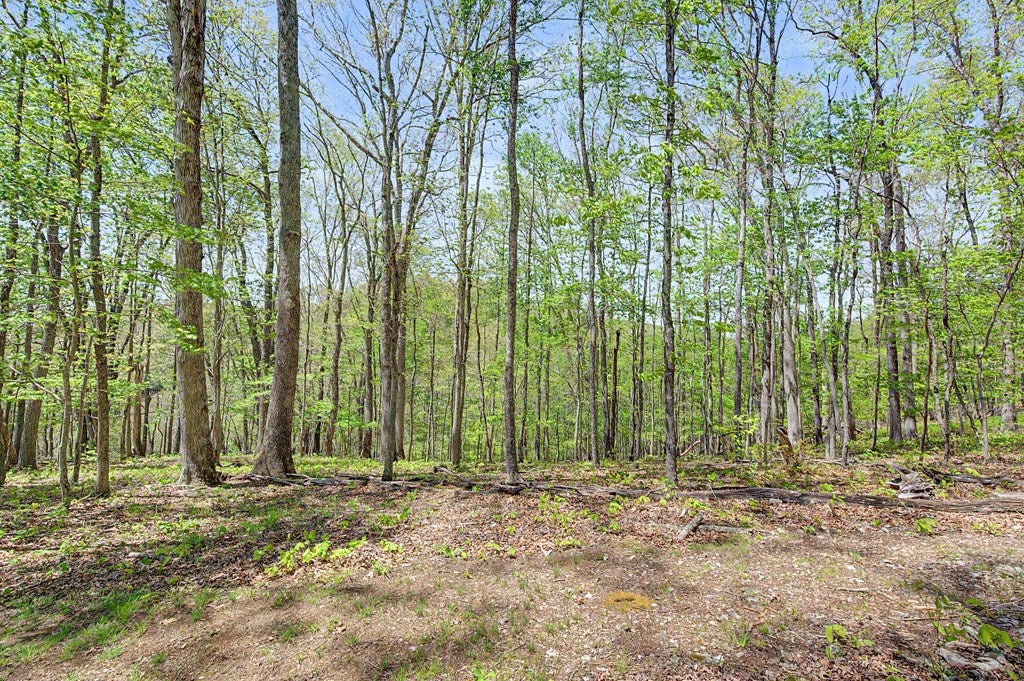 805 Sunset River Road Ceres, VA 24318 - Photo 50 of 77 Gallery Image 50