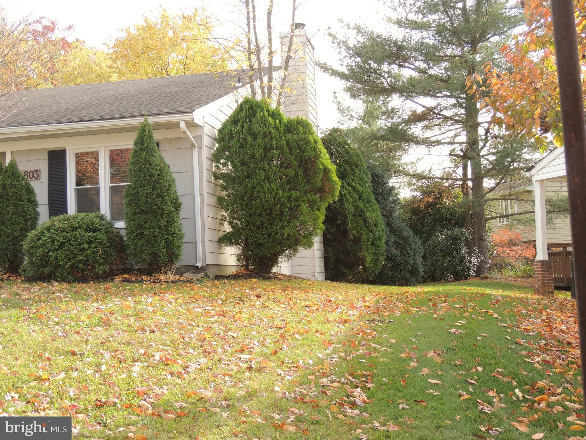 4803 Ebenezer Road Nottingham, MD 21236 - Photo 3 of 29 a view of yellow house with a yard