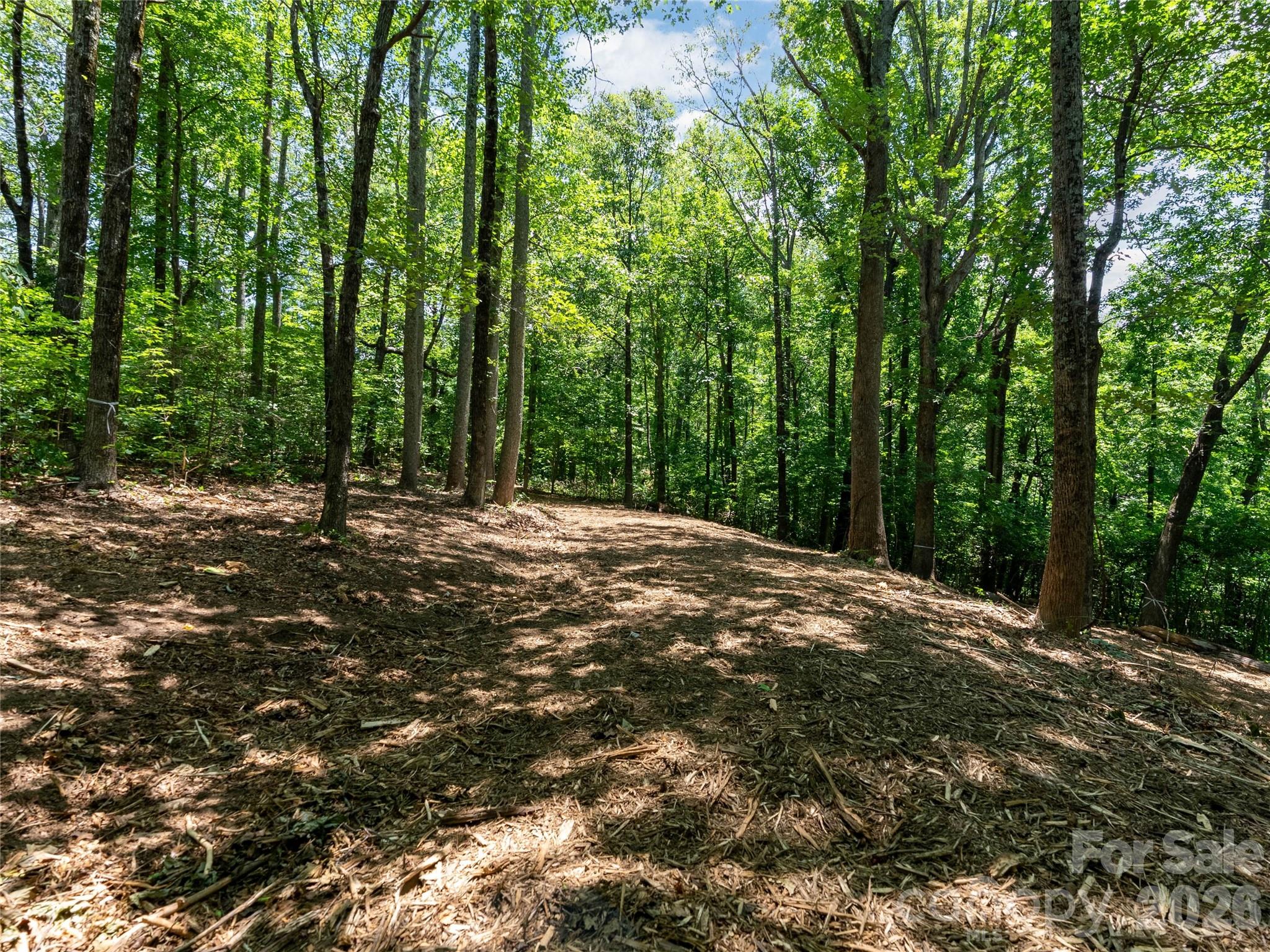 Lot 22 Plumley Summit Road, Unit 22 Landrum, SC 29356 - Photo 18 of 27