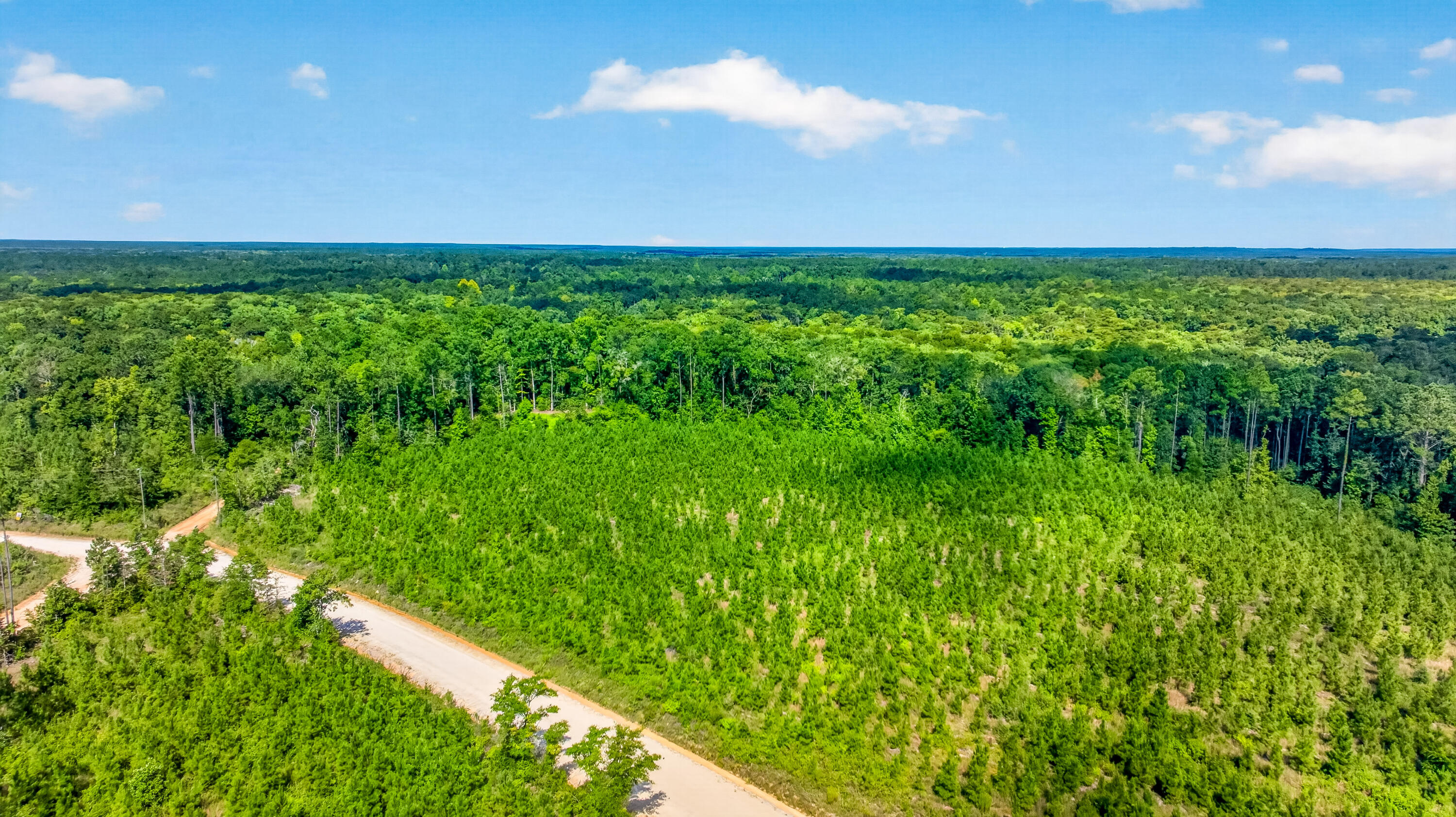 19-acres Potter Spring Road Vernon, FL 32462 - Photo 7 of 28 DJI_0140