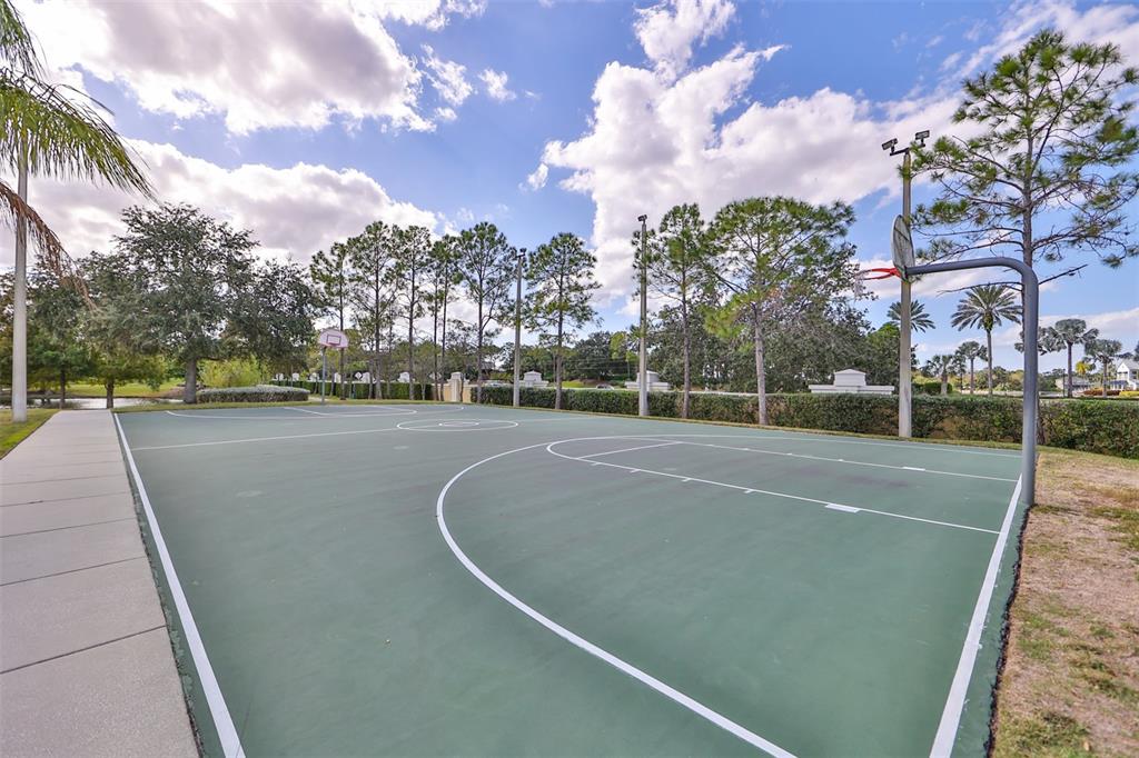 5305 Moon Shell Drive Apollo Beach, FL 33572 - Photo 51 of 62
