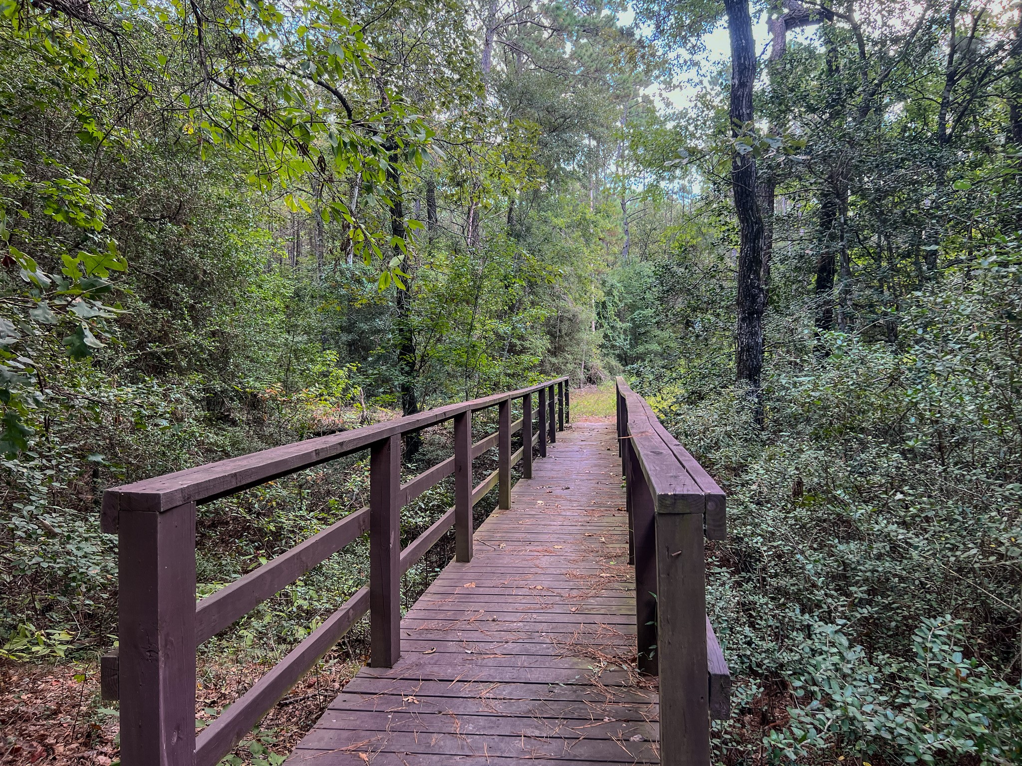 185 Rim Rock Road Huntsville, TX 77340 - Photo 18 of 19 a view of balcony and yard