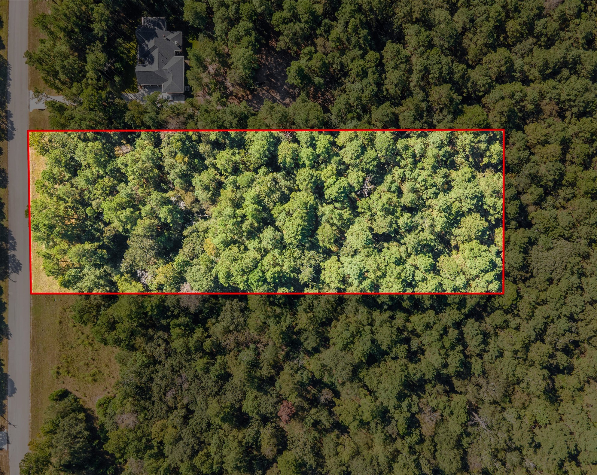 185 Rim Rock Road Huntsville, TX 77340 - Photo 2 of 19