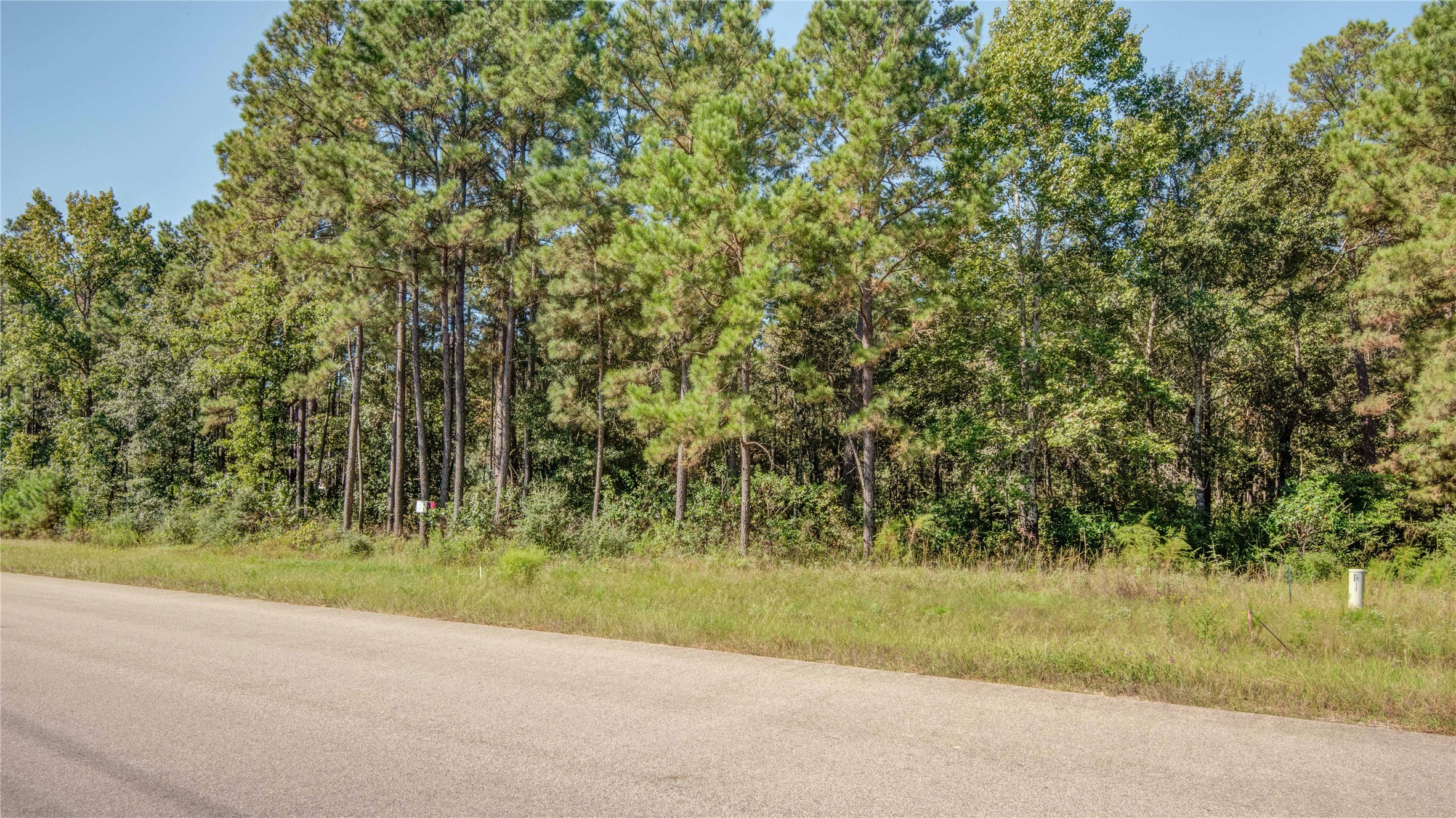 185 Rim Rock Road Huntsville, TX 77340 - Photo 4 of 19 a view of a yard with a trees