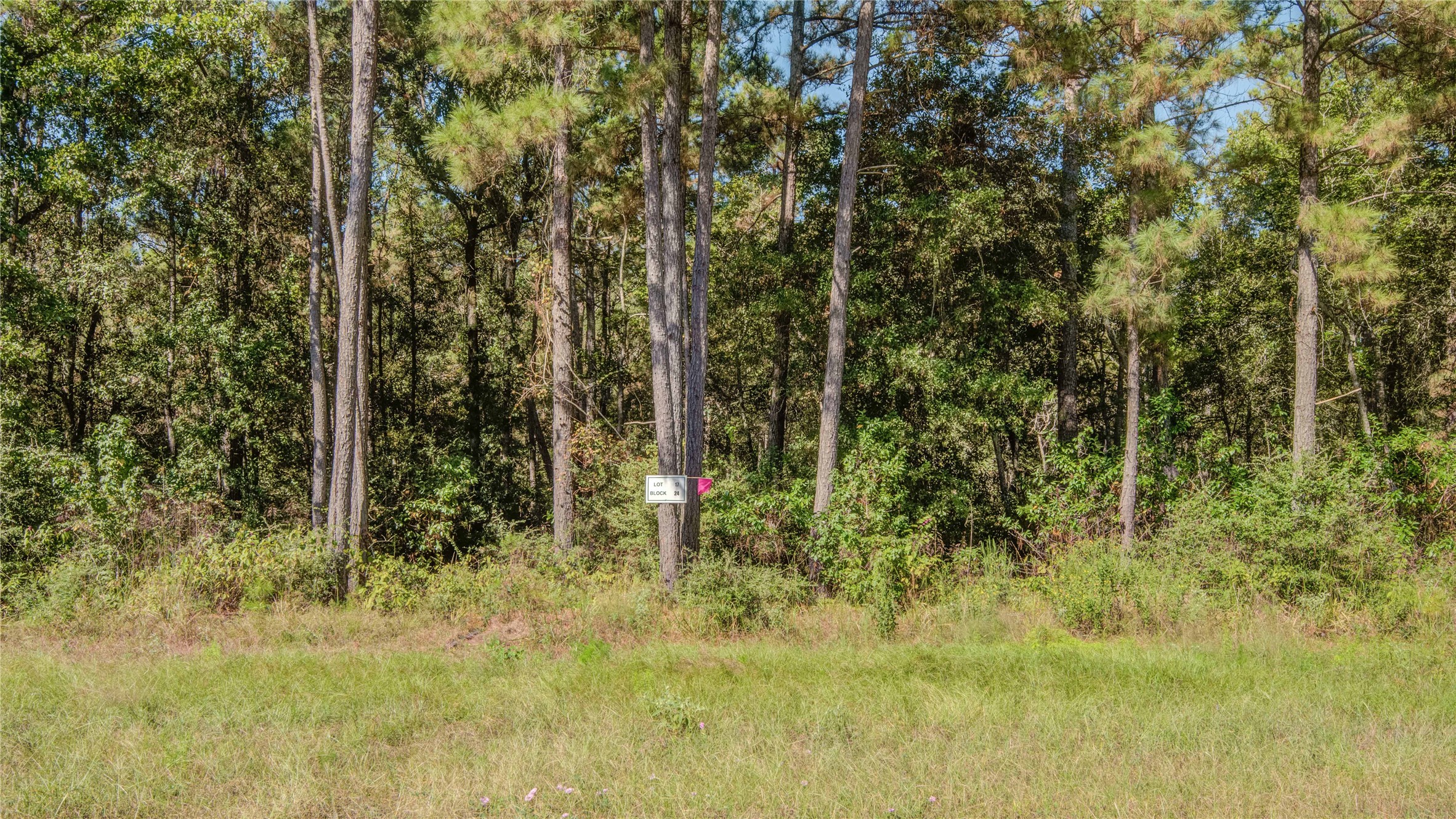 185 Rim Rock Road Huntsville, TX 77340 - Photo 5 of 19 a view of outdoor space and trees