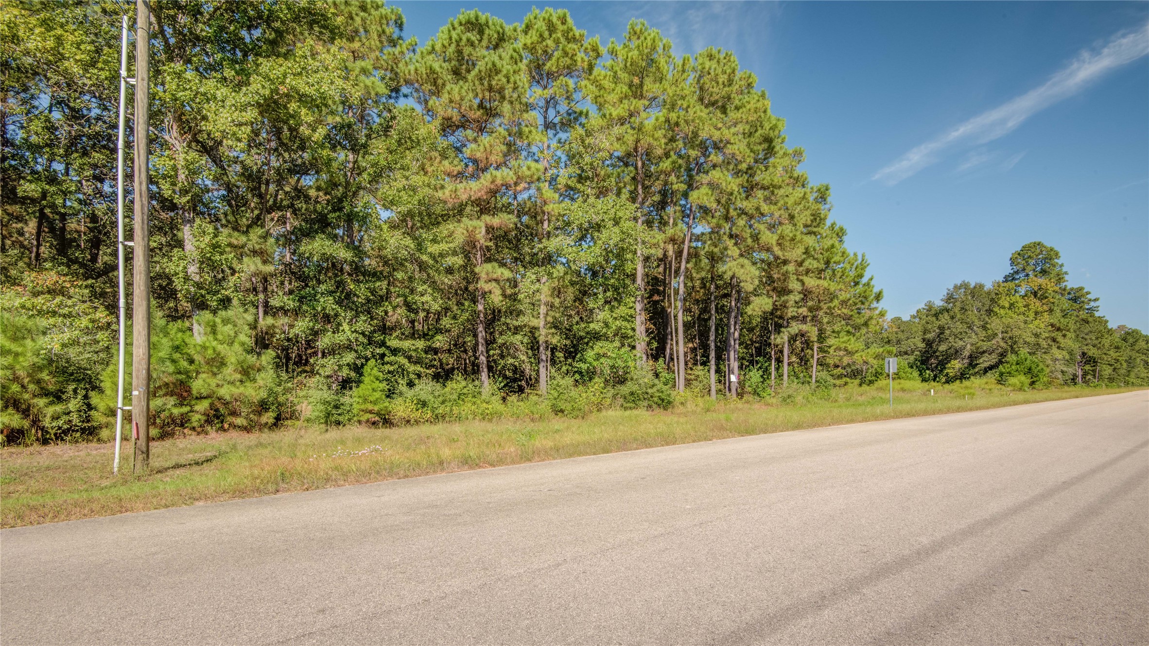 185 Rim Rock Road Huntsville, TX 77340 - Photo 7 of 19 a view of a road with a yard and large trees