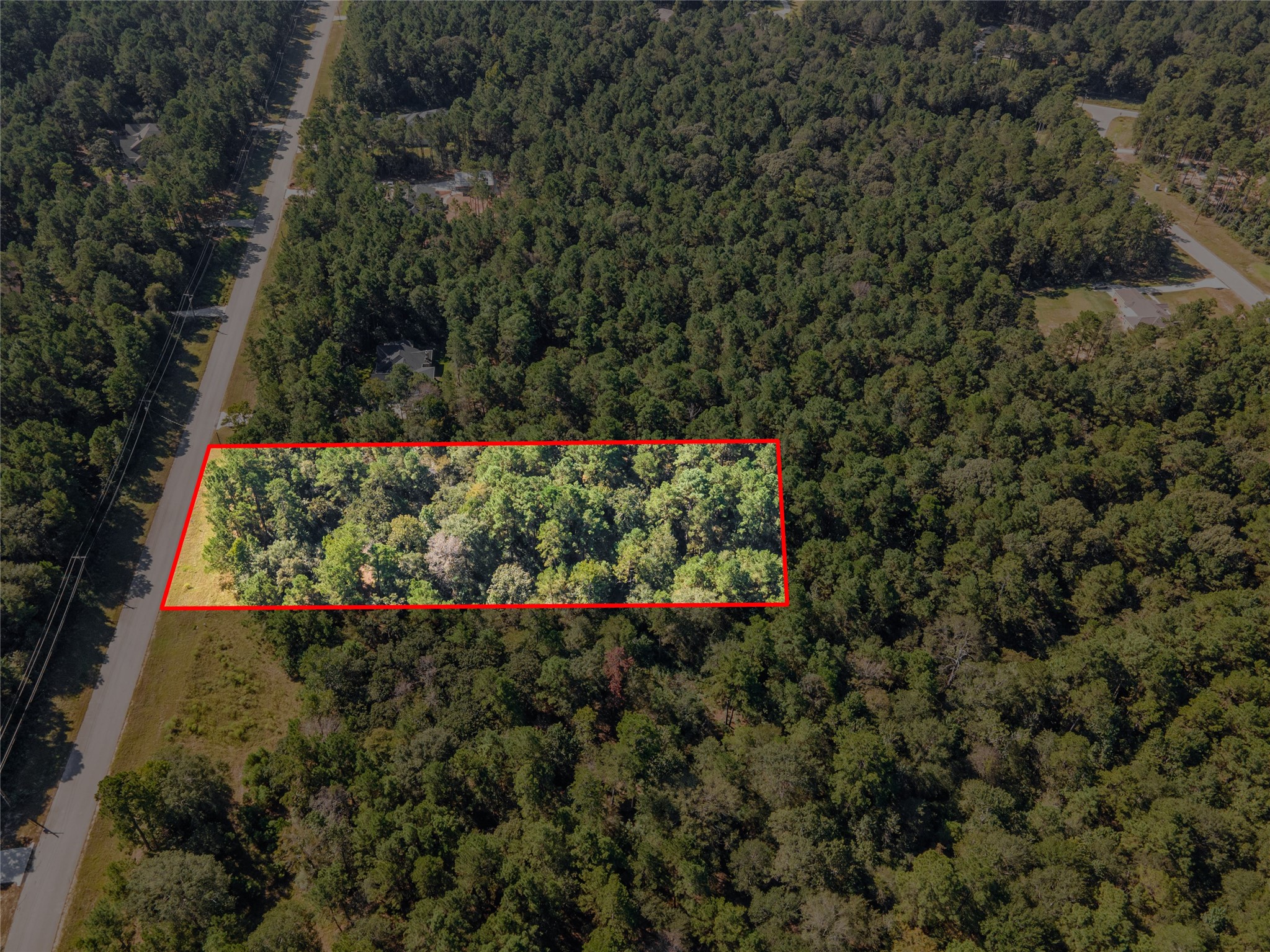 185 Rim Rock Road Huntsville, TX 77340 - Photo 10 of 19 a view of a garden with flowers and trees