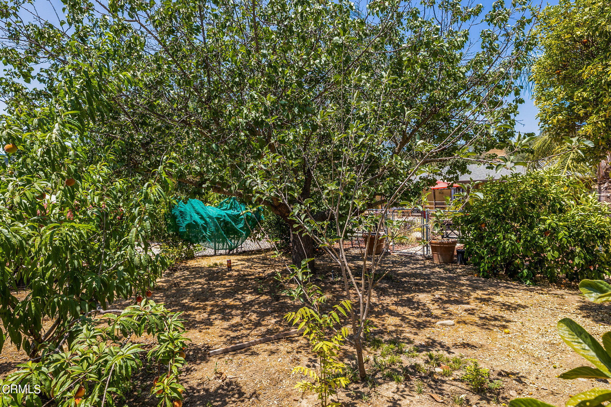 52 Grapevine Road Oak View, CA 93022 - Photo 34 of 52 a view of outdoor space and yard