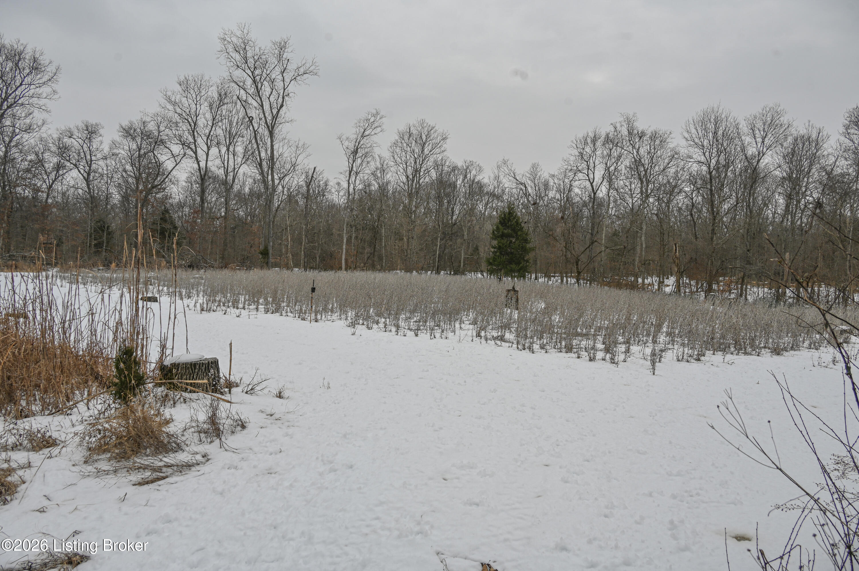 0 Stewart Road Lebanon Junction, KY 40150 - Photo 43 of 106 19-DSC_1532
