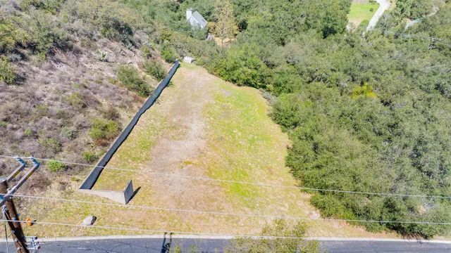 a view of a yard with trees
