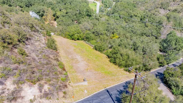 a view of a forest from a window