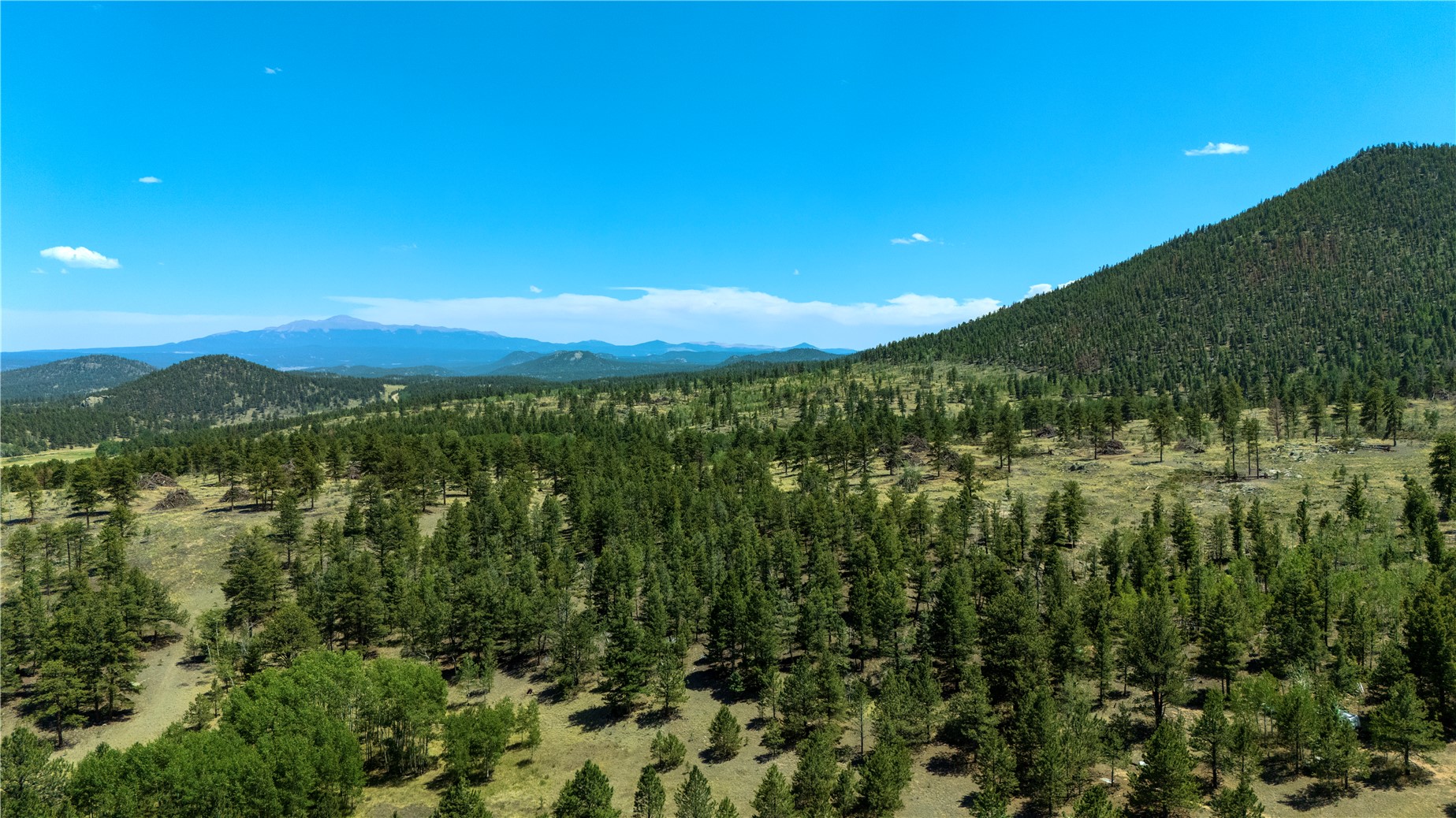 1036 Pulver Road Lake George, CO 80827 - Photo 13 of 27