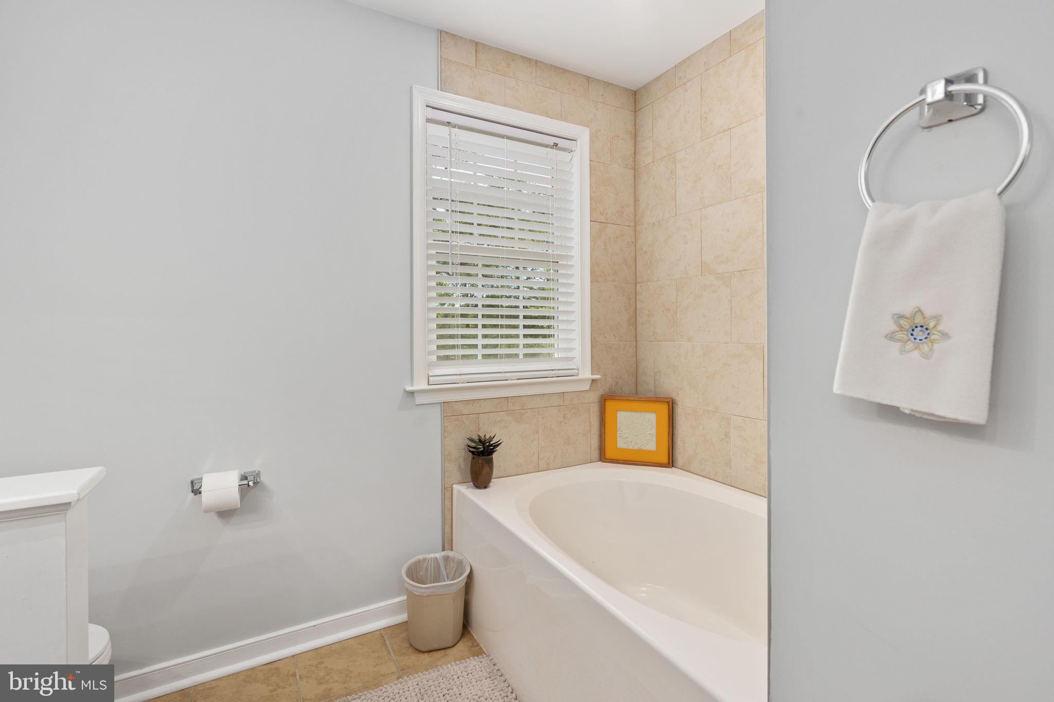 22088 Landora Bridge Road Ruther Glen, VA 22546 - Photo 65 of 122 Serene bathroom with natural light.