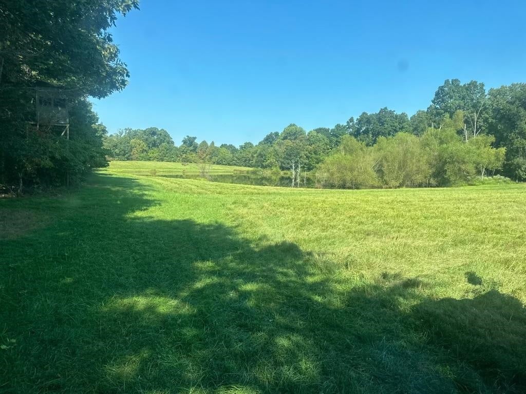 0 Blue Level Road Rockfield, KY 42274 - Photo 24 of 25 Gallery Image 24