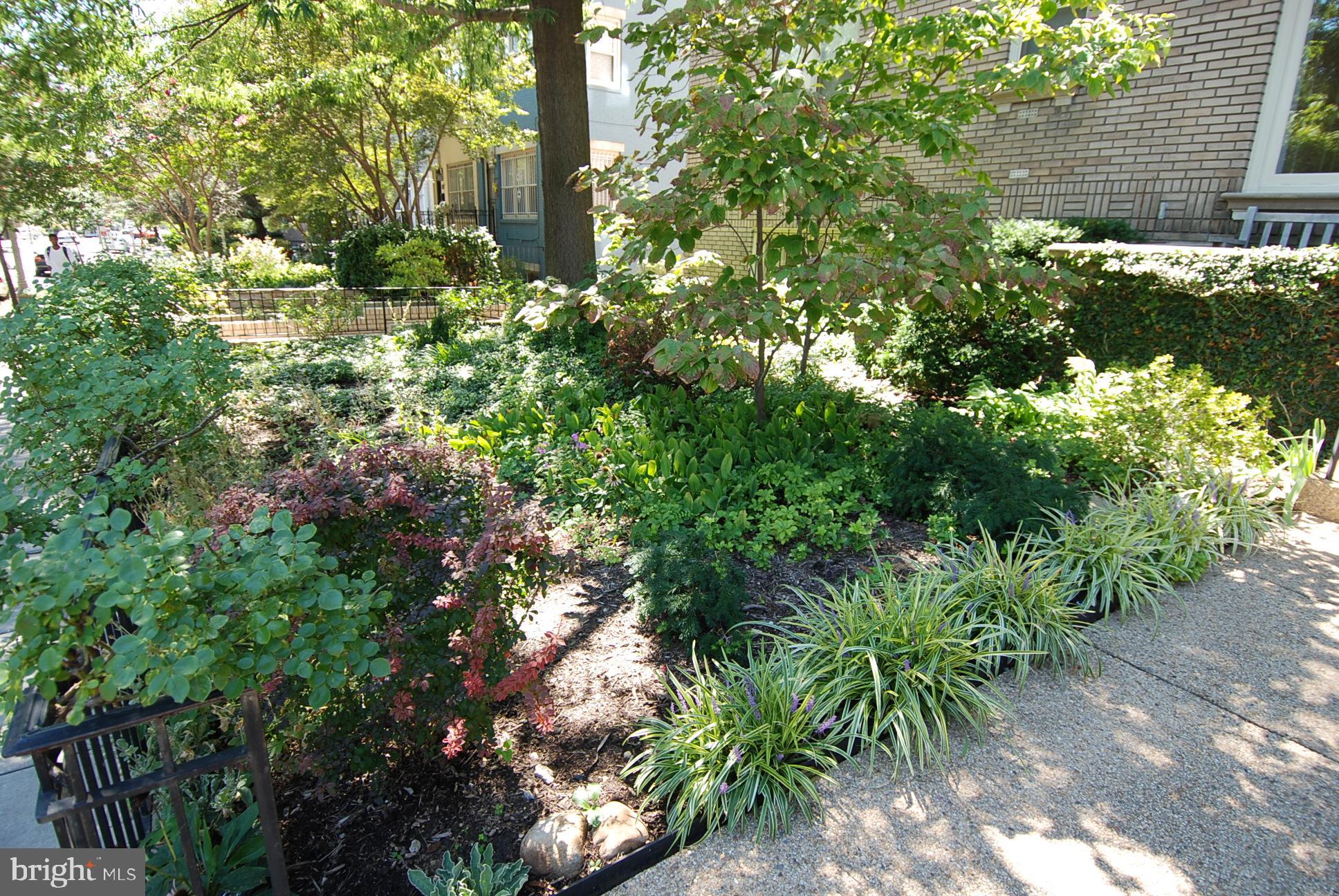 1916 17th Street Northwest, Unit 104 Washington, DC 20009 - Photo 2 of 36