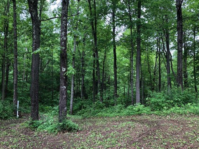 2599 Jolly Road Wellston, OH 45692 - Photo 28 of 38
