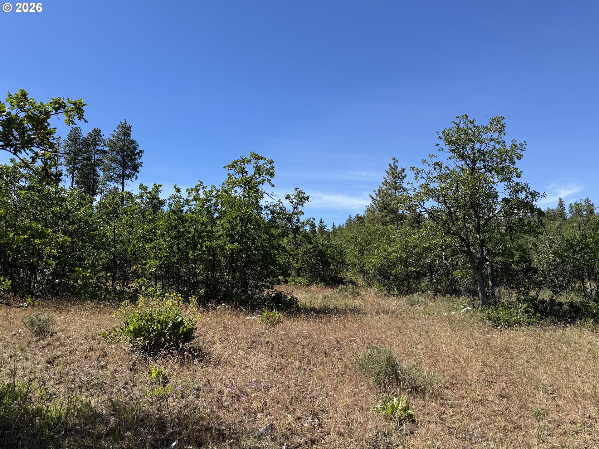 112 Timber Road Roosevelt, WA 99356 - Photo 18 of 31