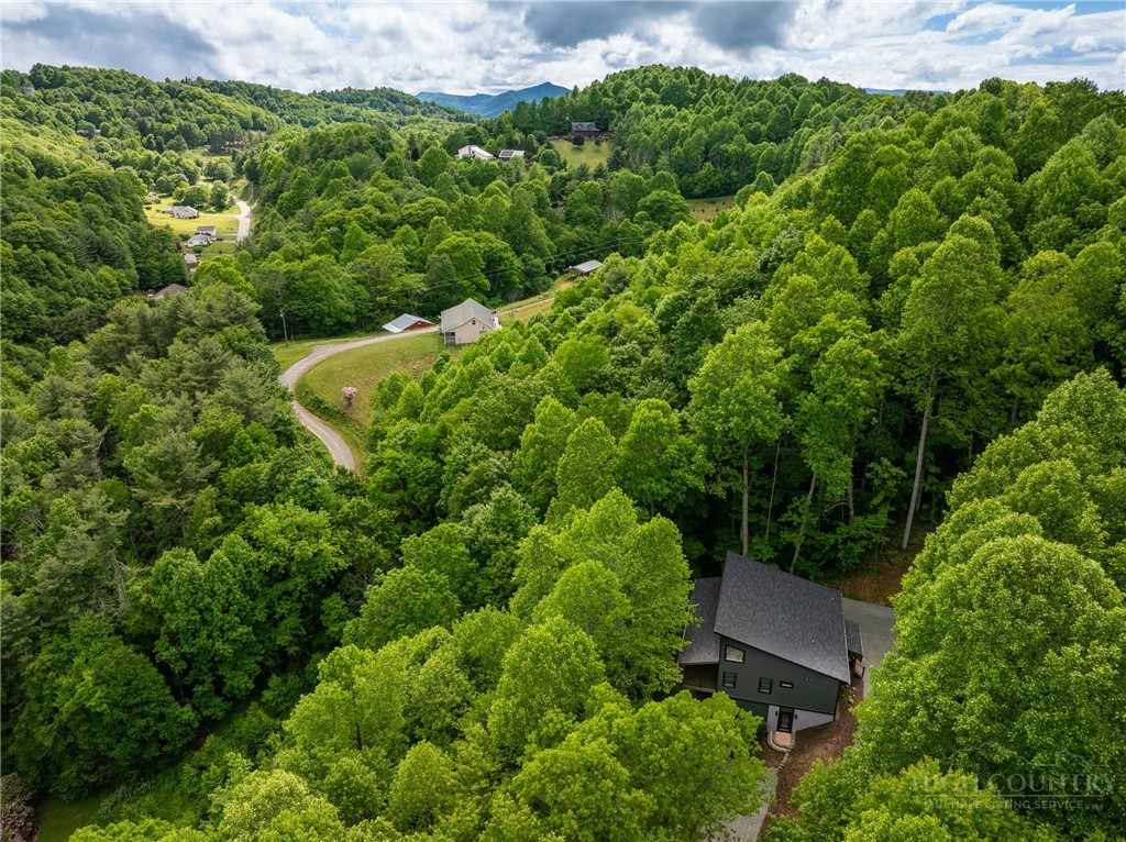 207 Laurel Canopy Lane Boone, NC 28607 - Photo 11 of 49