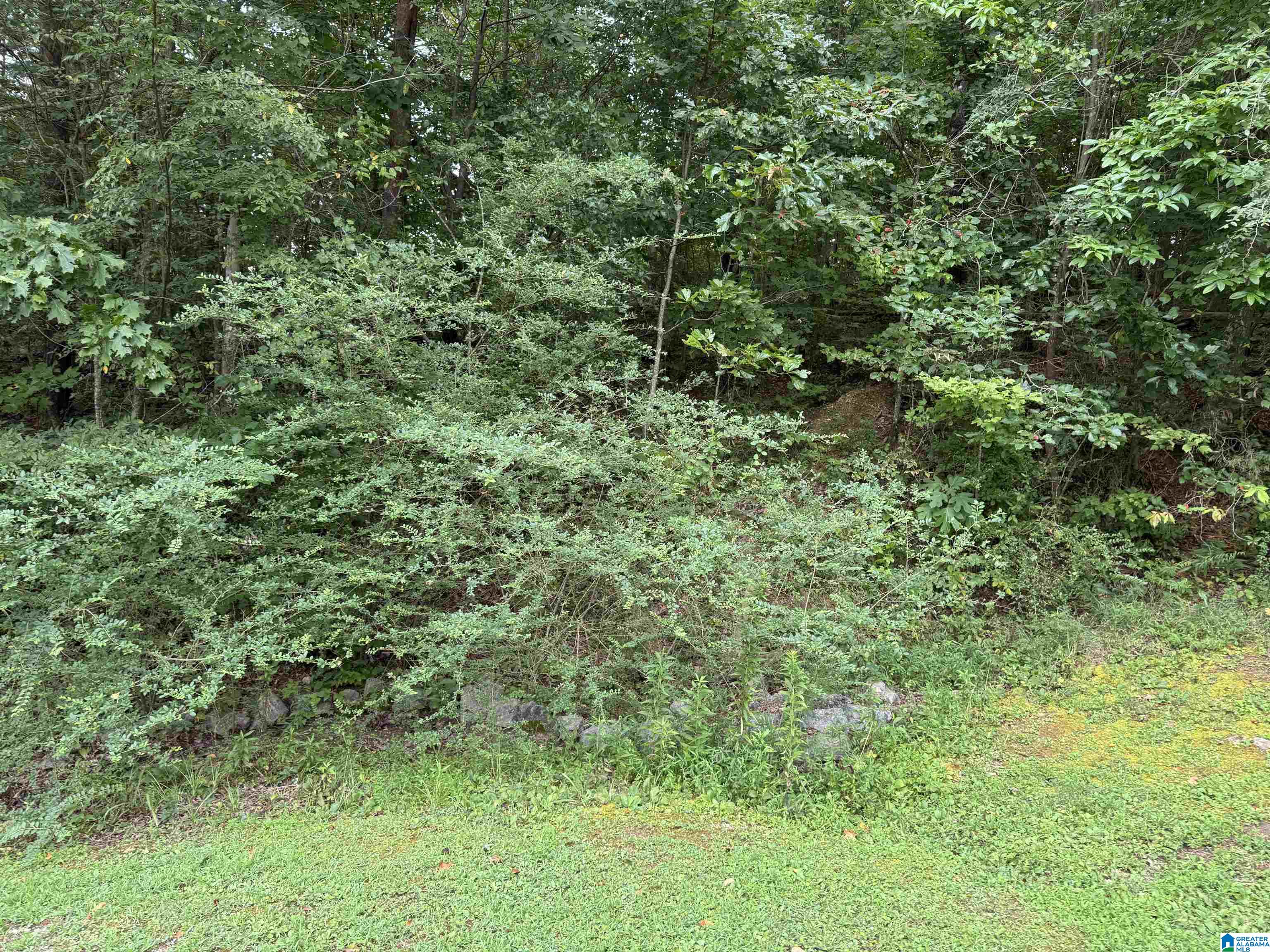 Overlook Point, Unit 1 Sumiton, AL 35148 - Photo 9 of 9