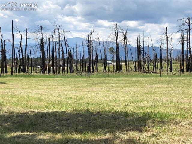 13230 Crump Road Colorado Springs, CO 80908 - Photo 3 of 3 Gallery Image 3